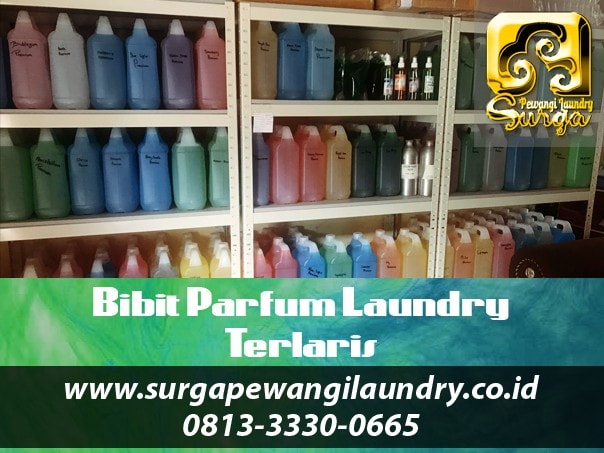Bibit Parfum Laundry Jogja Jadi Usaha Tanpa Modal, Dropship 1 Bibit Parfum Laundry Terlaris - Bibit Parfum Laundry Jogja Jadi Usaha Tanpa Modal, Dropship