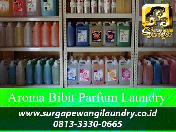 Bibit Parfum Laundry Terlaris