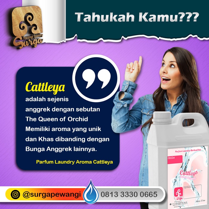 Aroma Pewangi Laundry Terbaik Untuk Pria dan Wanita 2021 Aroma Pewangi Laundry 5 - Aroma Pewangi Laundry Terbaik Untuk Pria dan Wanita 2021