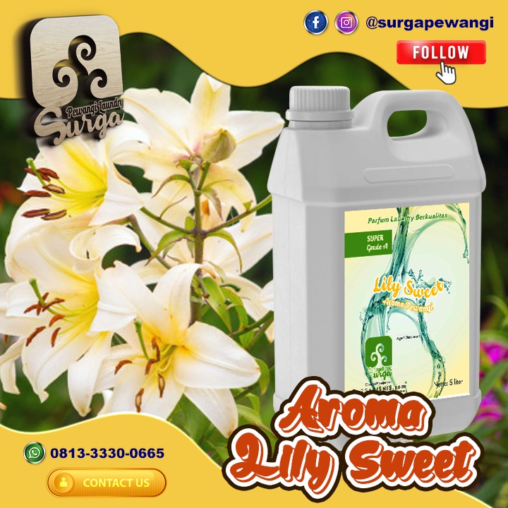 Pewangi Laundry/Parfum Laundry | Agen, Distributor, Merk & Harga Jual pewangi laundry lily - Pewangi Laundry/Parfum Laundry | Agen, Distributor, Merk & Harga Jual